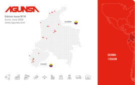 Newsletter AGUNSA N°19